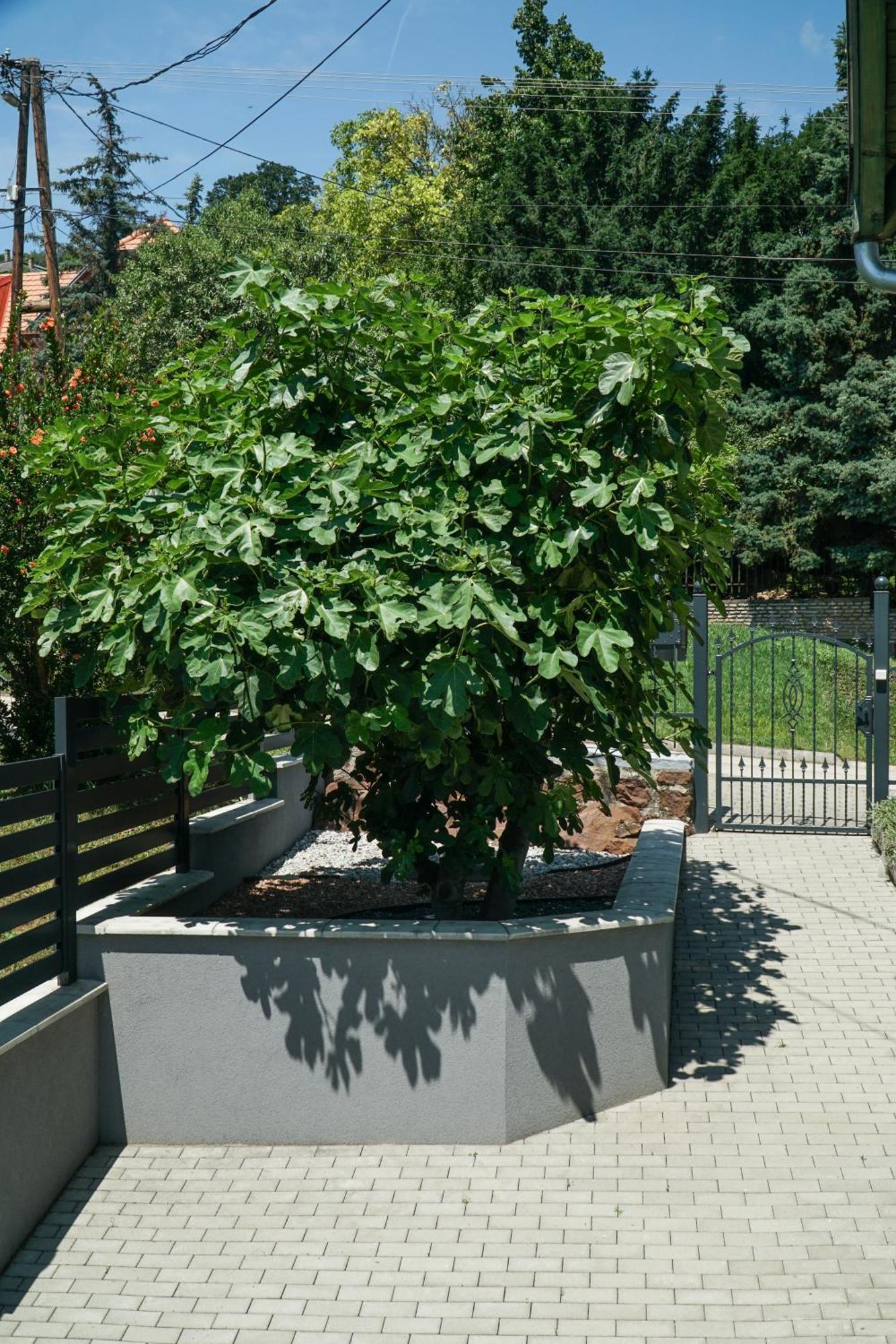 Fuegefa Apartman Balatonalmádi Εξωτερικό φωτογραφία